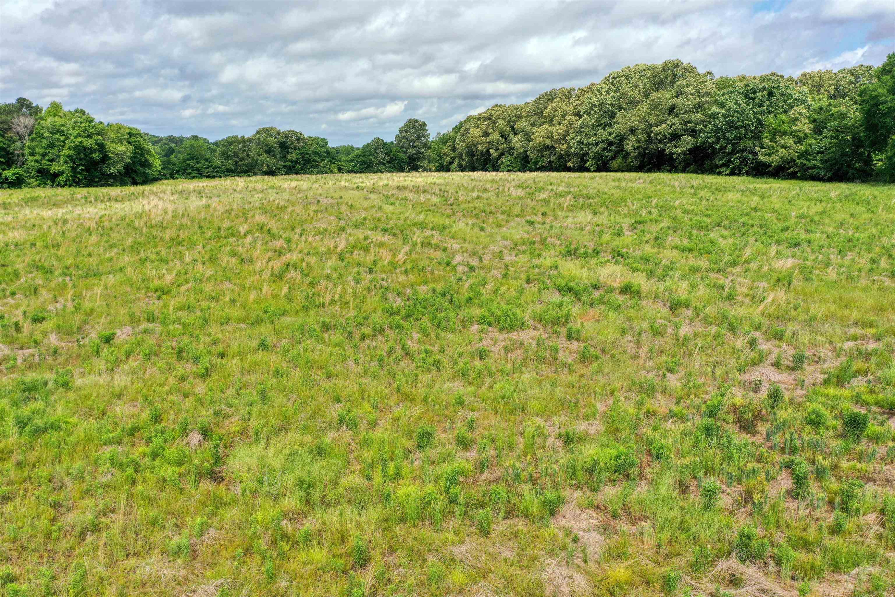 1155 Winston Road McKenzie, TN 38201 - Photo 8 of 9 Photo 8