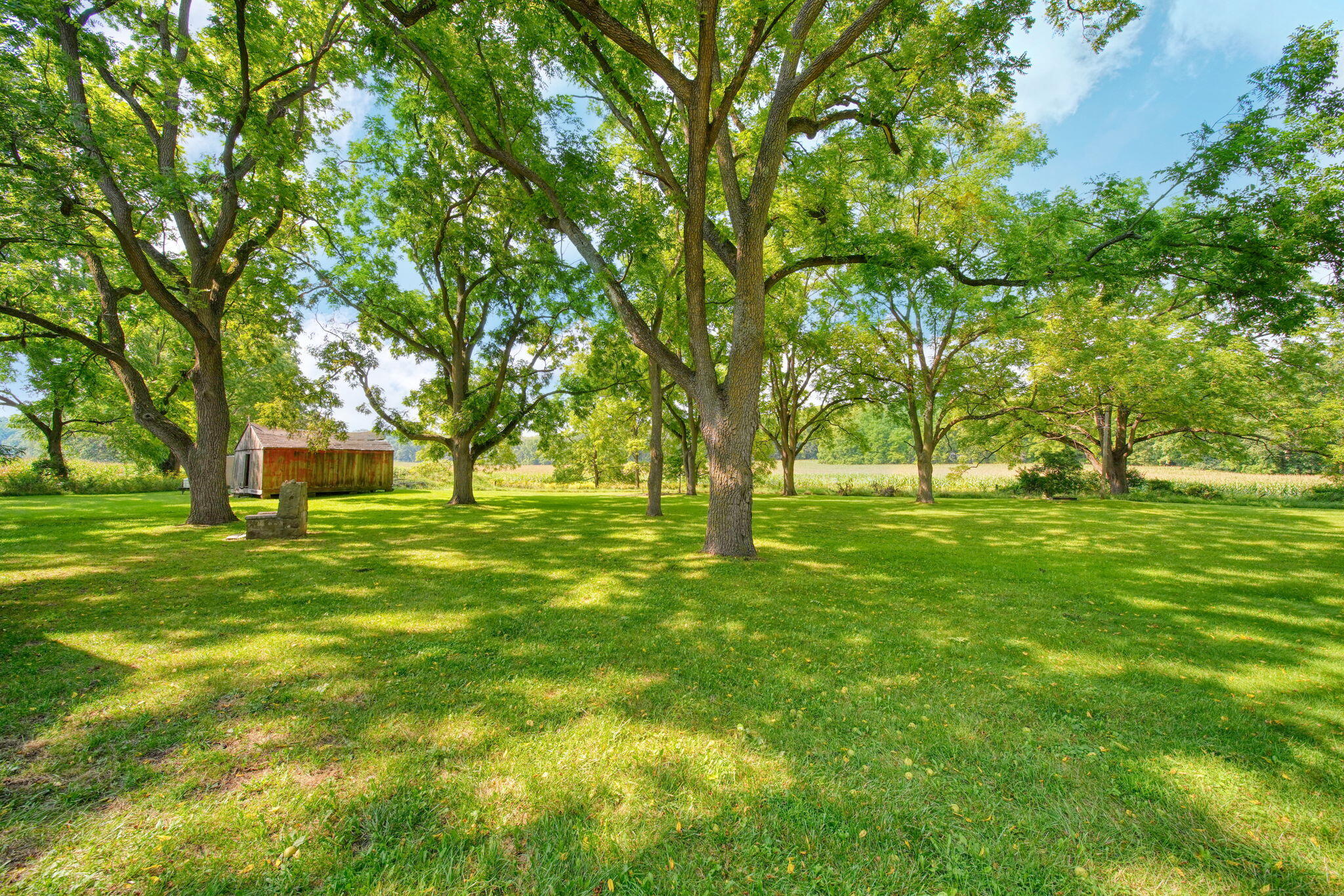 4023 Horton Road Jackson, MI 49201 - Photo 21 of 54 24-web-or-mls-DSC07591_HDR