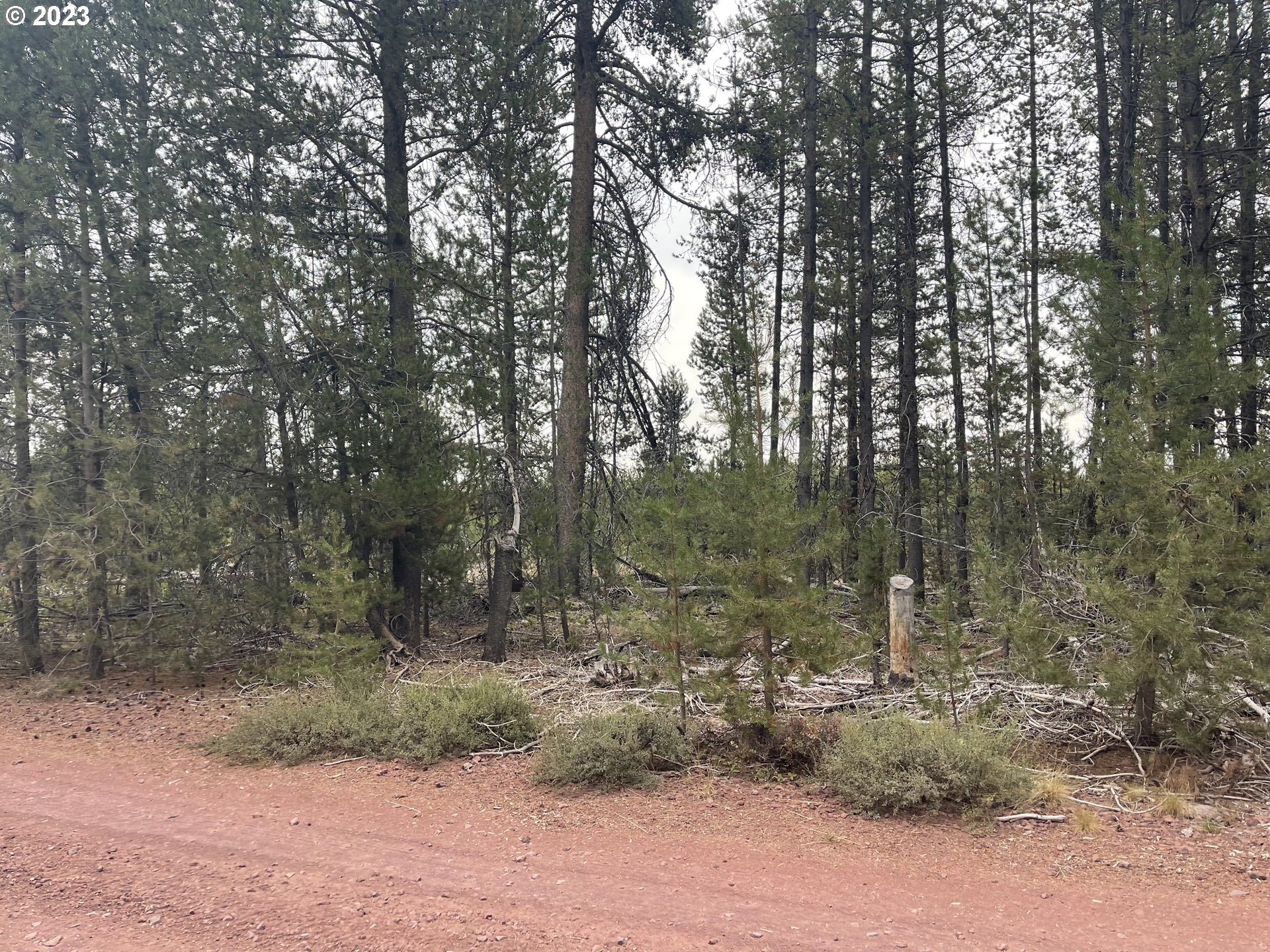 Cloudcap Drive, Unit 15 Chiloquin, OR 97624 - Photo 11 of 17 a backyard of a house with lots of green space