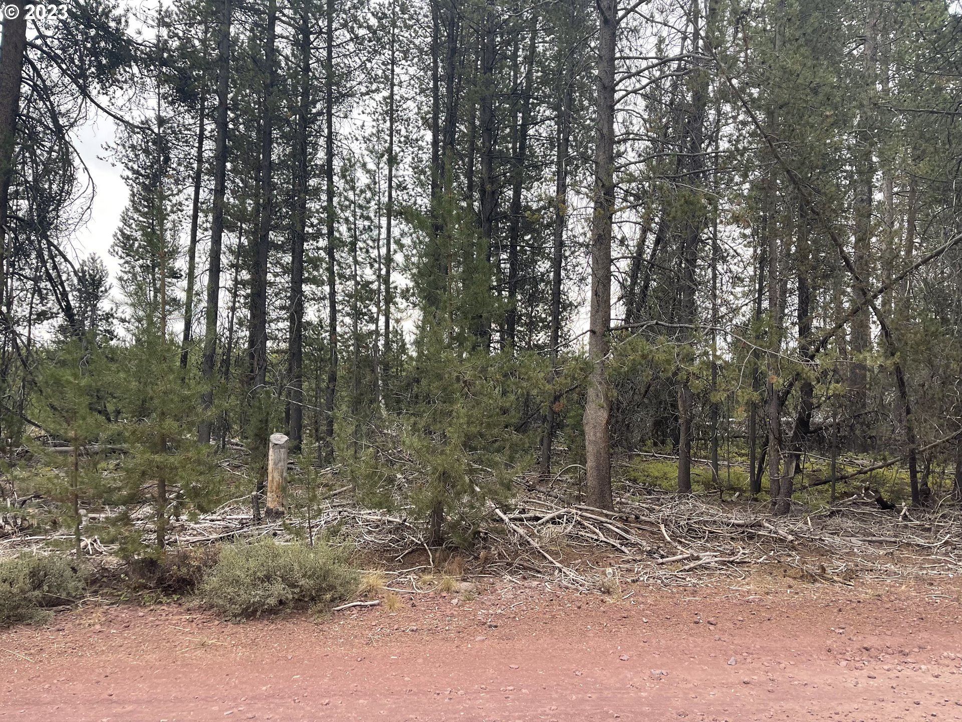 Cloudcap Drive, Unit 15 Chiloquin, OR 97624 - Photo 12 of 17 a backyard of a house with lots of green space