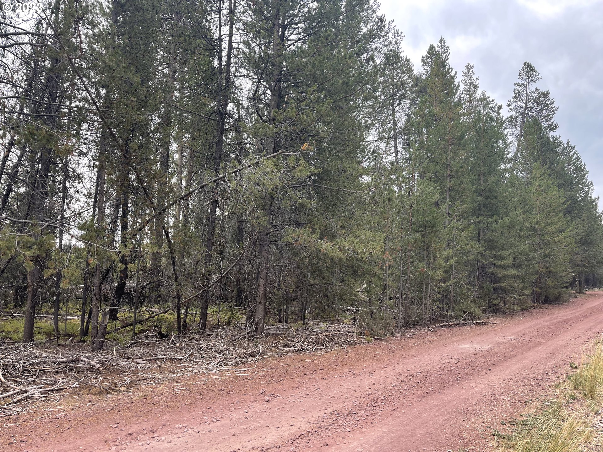 Cloudcap Drive, Unit 15 Chiloquin, OR 97624 - Photo 14 of 17 a view of a forest with trees in the background