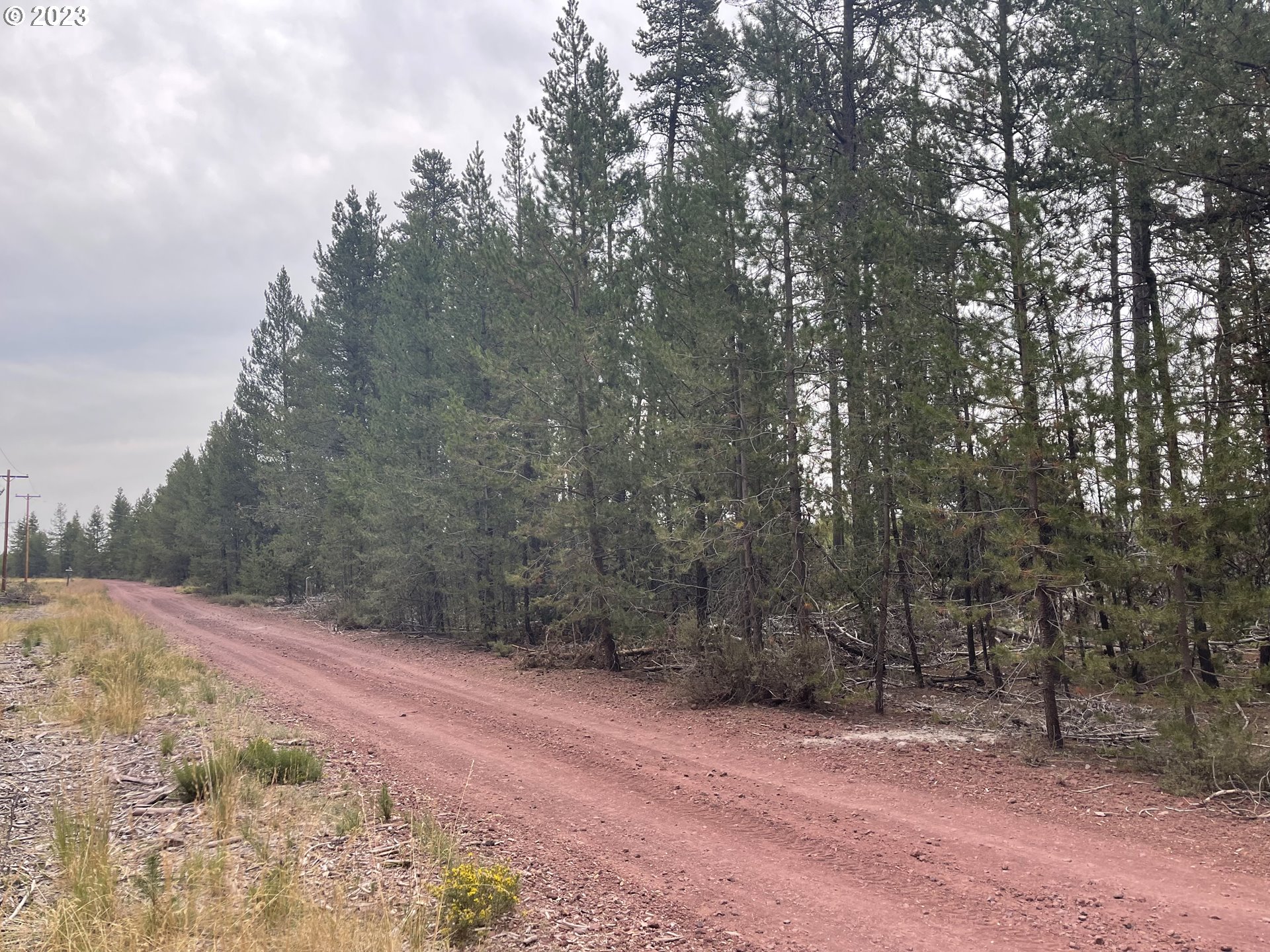 Cloudcap Drive, Unit 15 Chiloquin, OR 97624 - Photo 15 of 17 a view of dirt field with trees in the background
