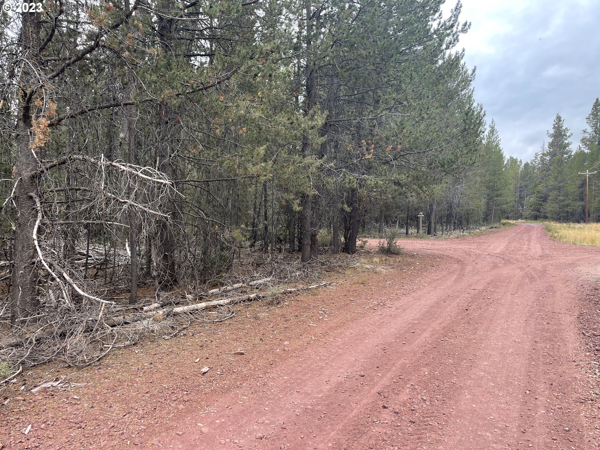 Cloudcap Drive, Unit 15 Chiloquin, OR 97624 - Photo 16 of 17 a view of outdoor space with trees