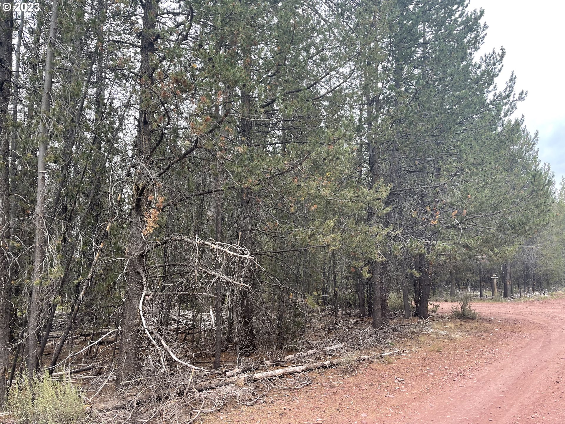 Cloudcap Drive, Unit 15 Chiloquin, OR 97624 - Photo 17 of 17 a backyard of a house with lots of green space