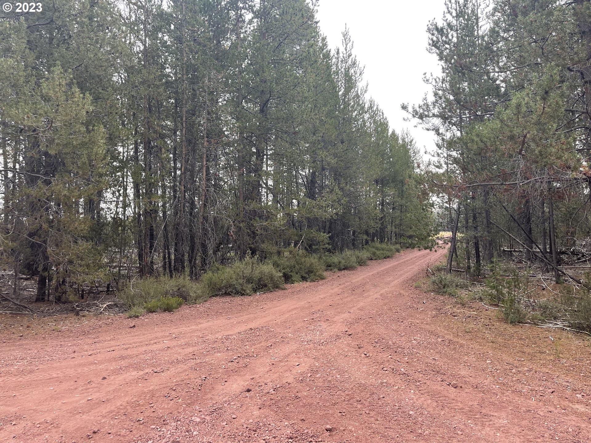 Cloudcap Drive, Unit 15 Chiloquin, OR 97624 - Photo 3 of 17 a view of a dirt road with trees in the background