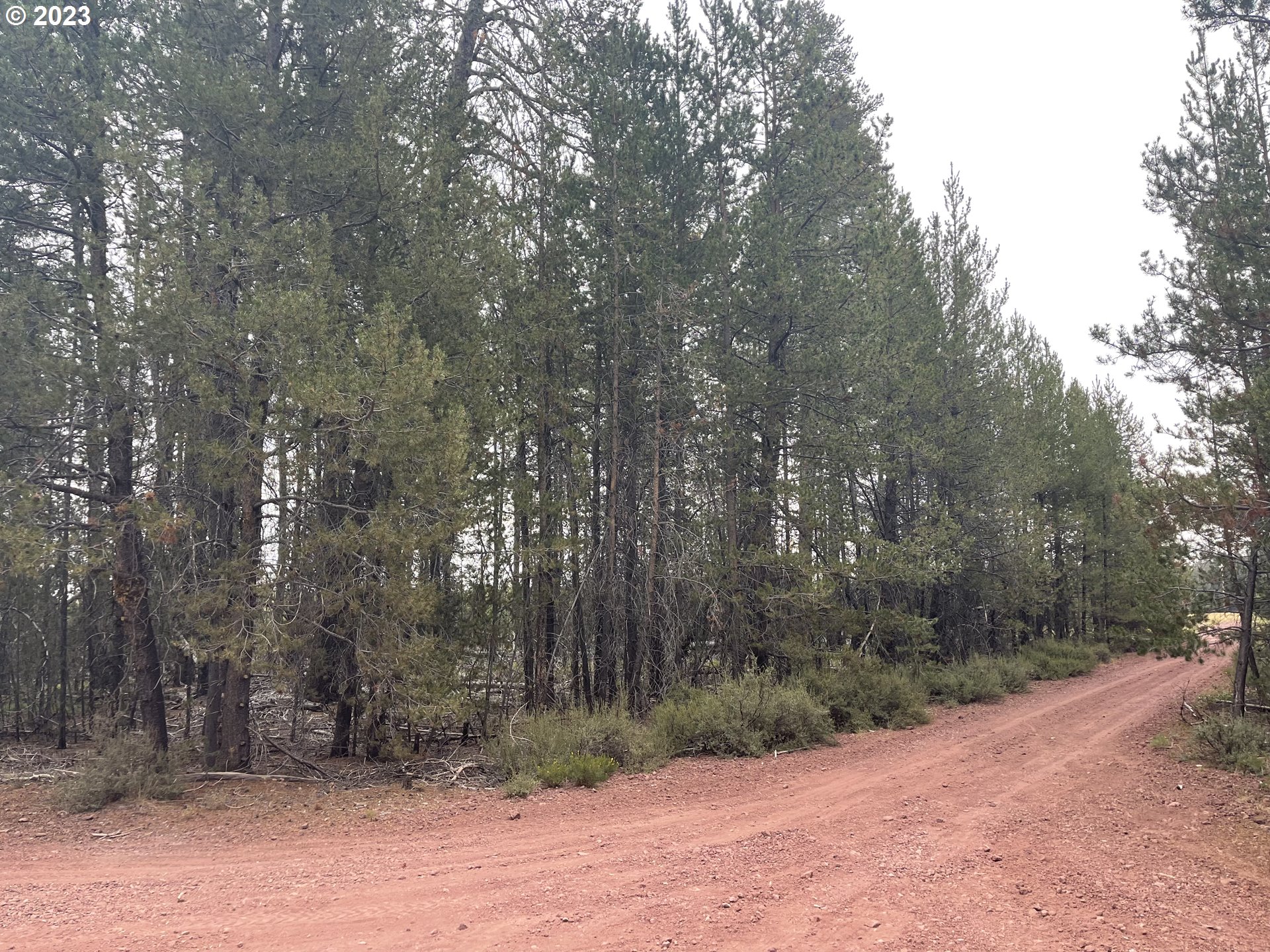 Cloudcap Drive, Unit 15 Chiloquin, OR 97624 - Photo 4 of 17 a pathway of a yard