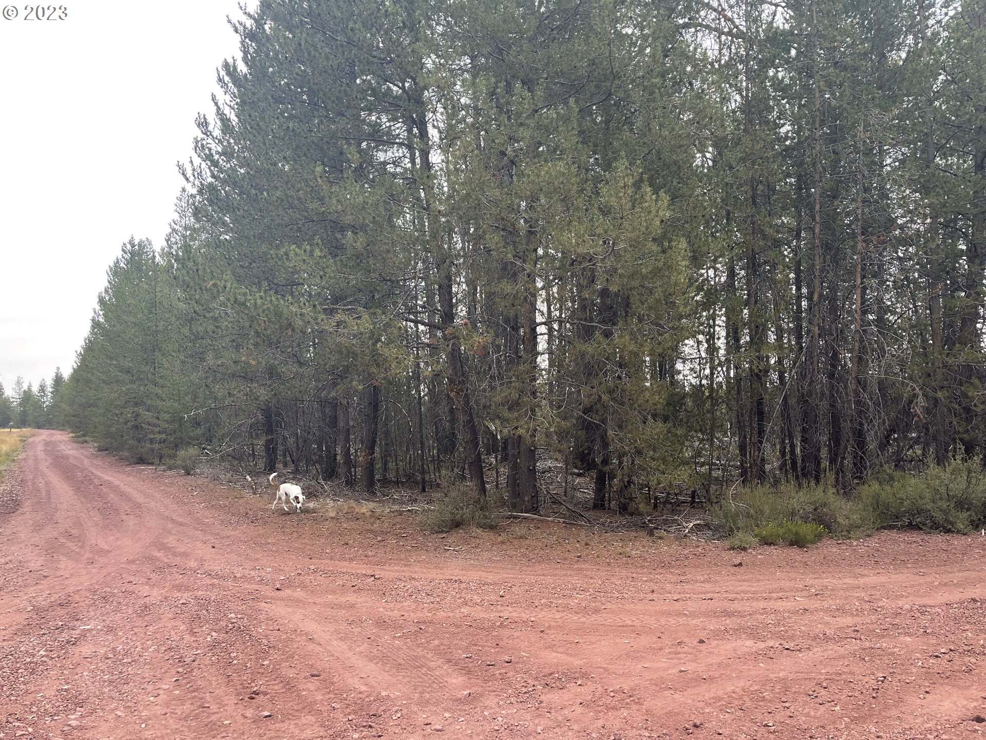 Cloudcap Drive, Unit 15 Chiloquin, OR 97624 - Photo 5 of 17 a view of outdoor space with trees