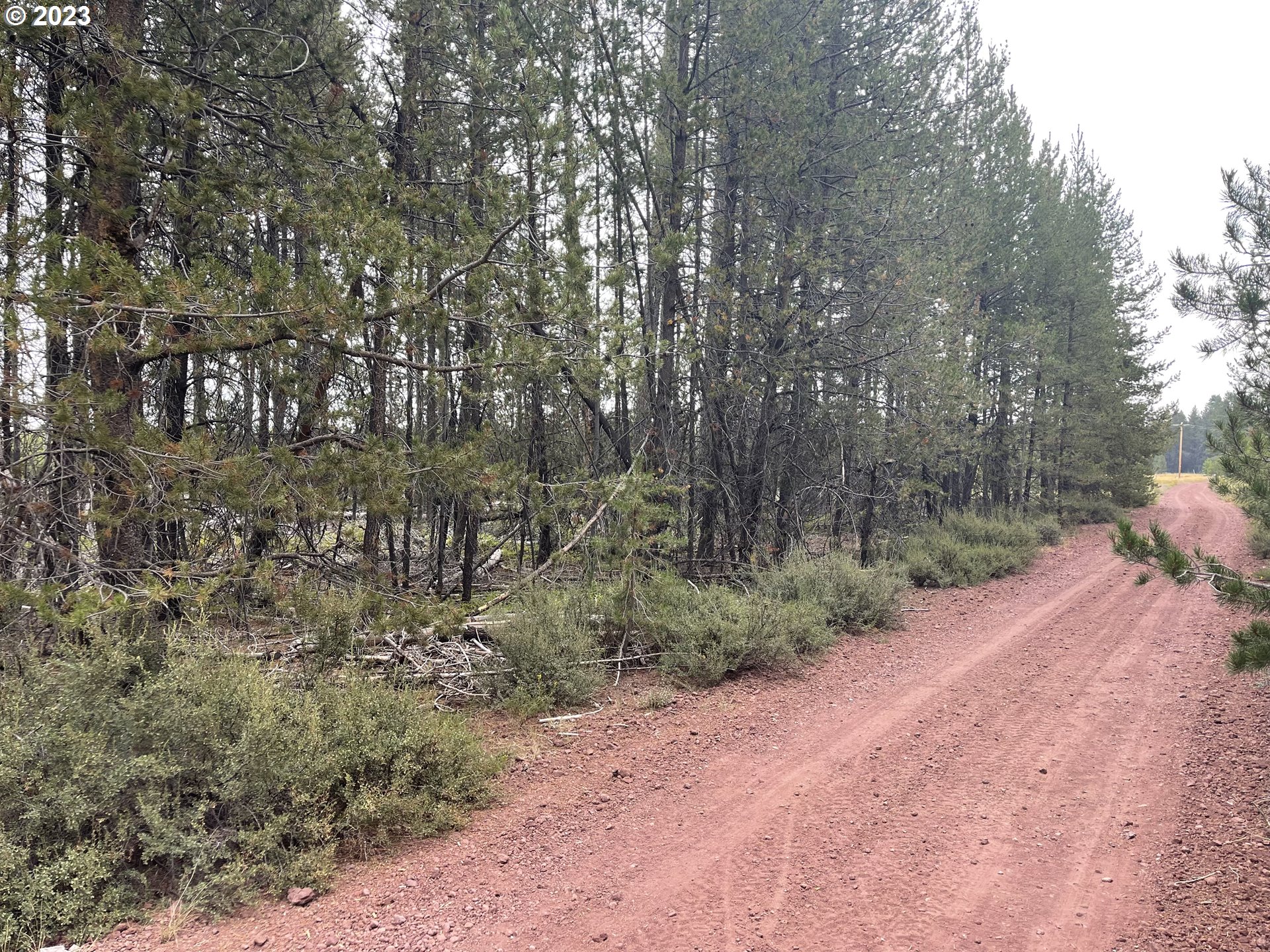 Cloudcap Drive, Unit 15 Chiloquin, OR 97624 - Photo 7 of 17 a view of a field with trees in the background