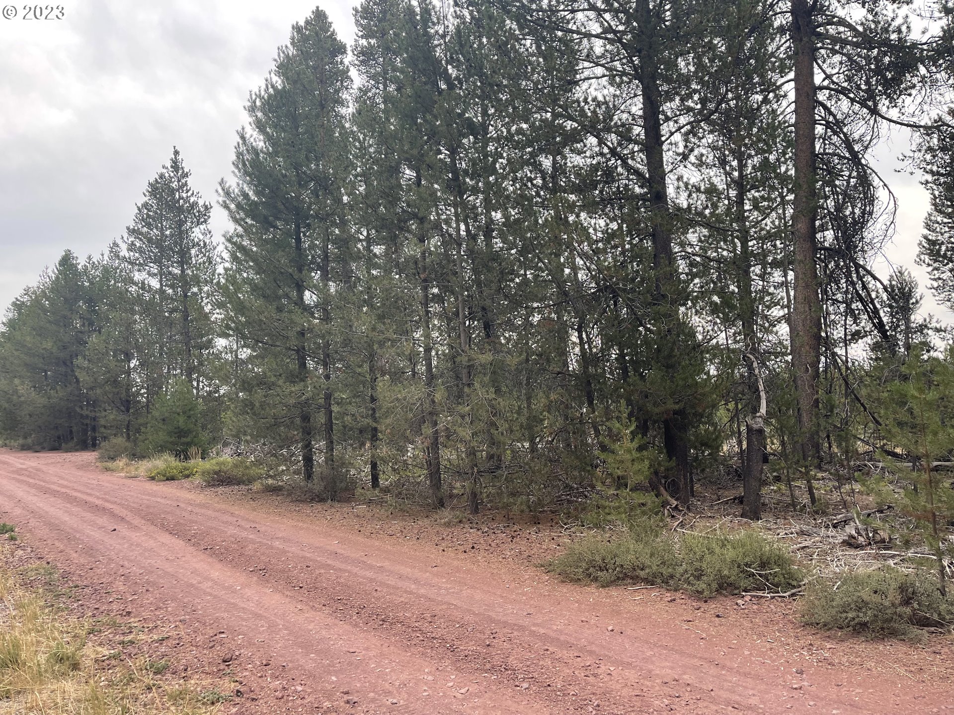 Cloudcap Drive, Unit 15 Chiloquin, OR 97624 - Photo 10 of 17 a view of outdoor space with trees