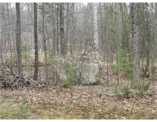 23 Hayden Brook Road Raymond, ME 04071 - Photo 11 of 12 Land/Lot. Backyard