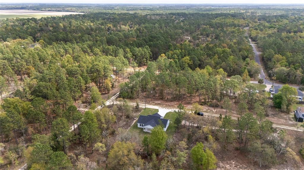 1570 Northeast 153 Court Williston, FL 32696 - Photo 48 of 50