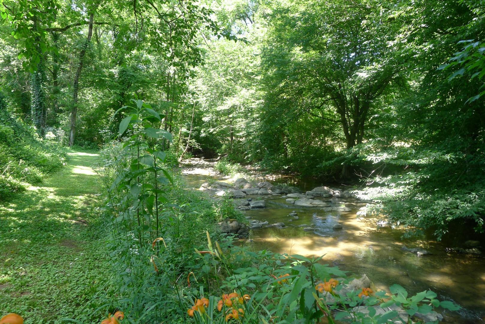 3619 Wilhite Road Sevierville, TN 37876 - Photo 26 of 28 P1150627
