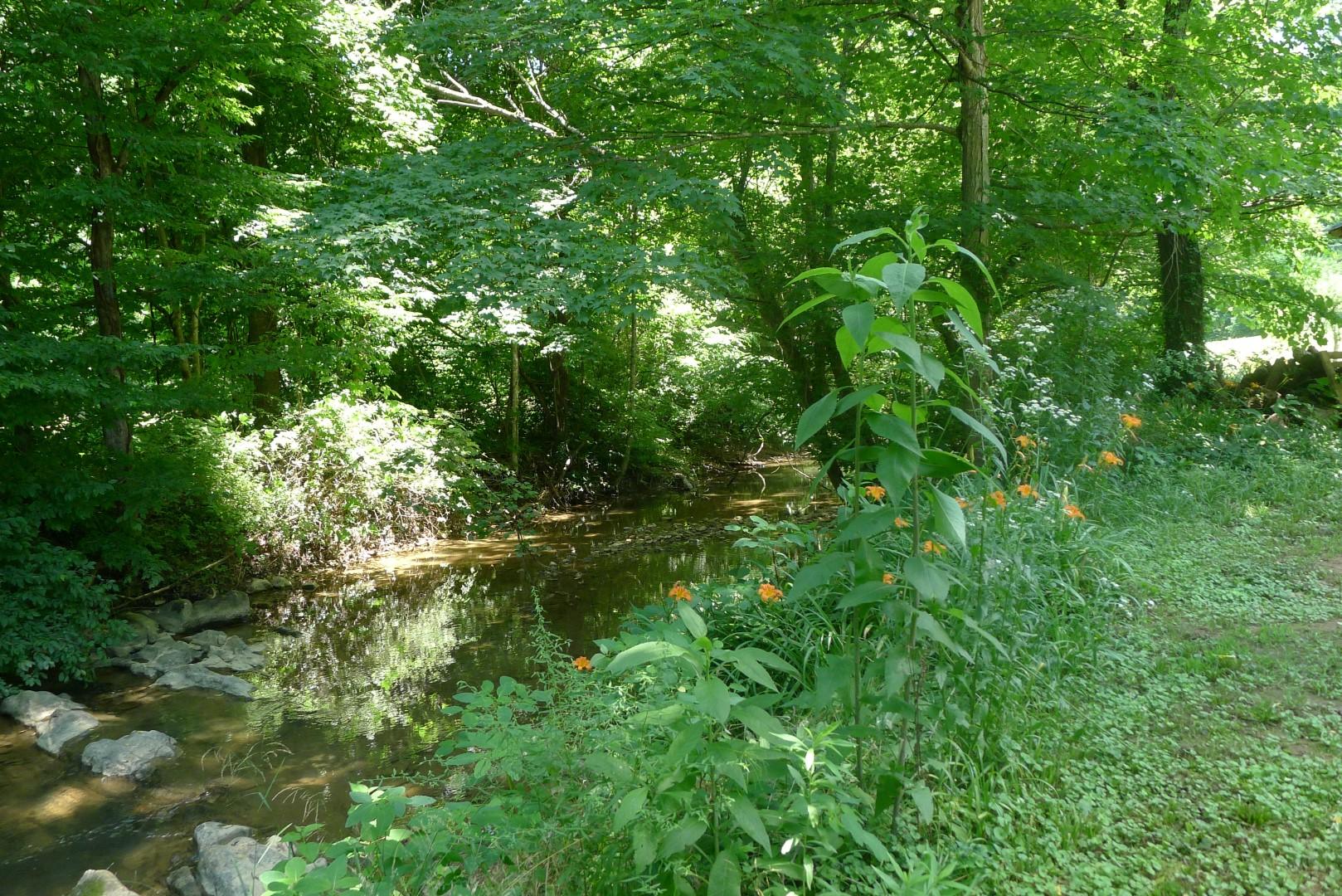 3619 Wilhite Road Sevierville, TN 37876 - Photo 27 of 28 P1150628