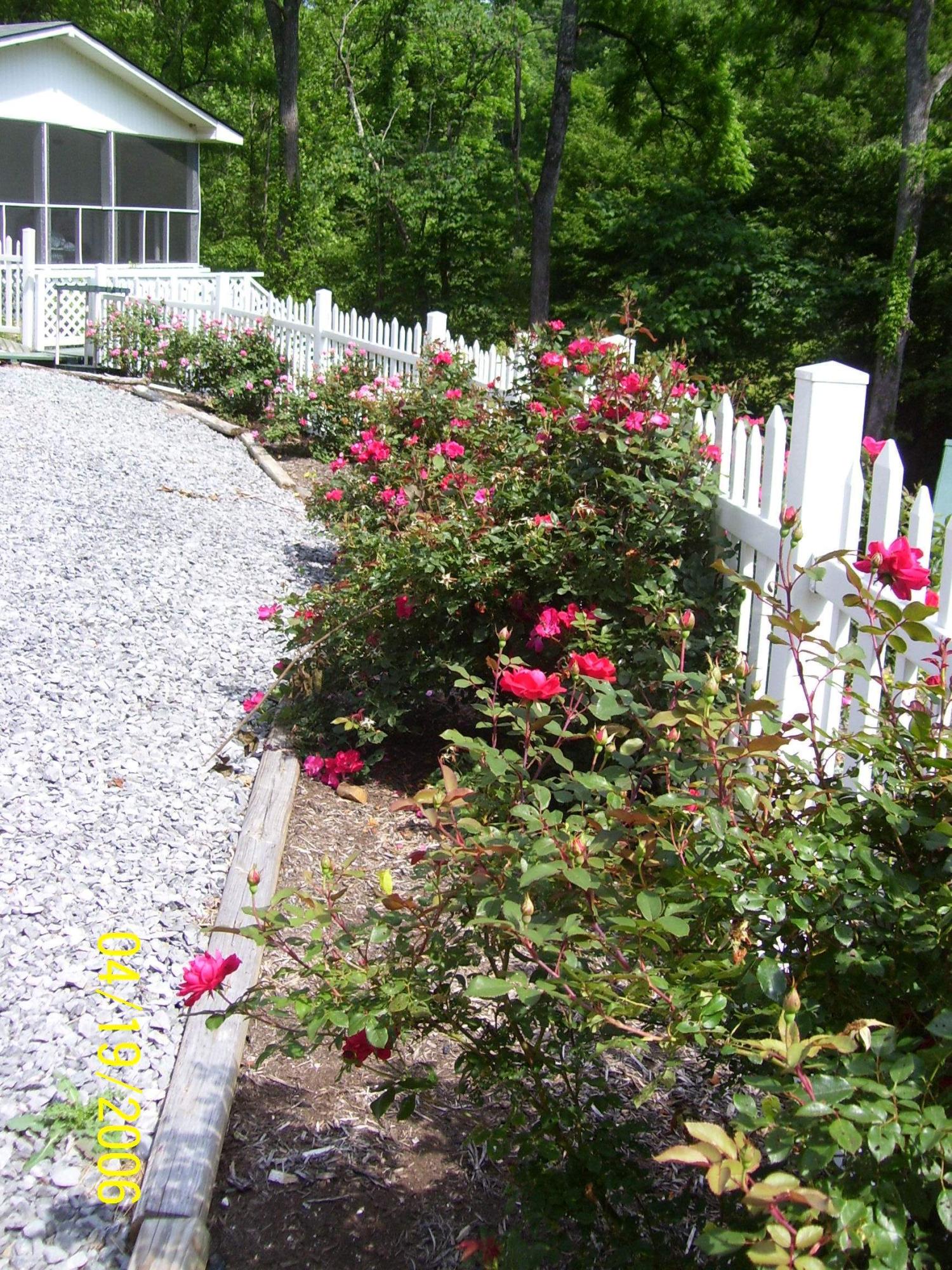 3619 Wilhite Road Sevierville, TN 37876 - Photo 28 of 28 100_1558-002