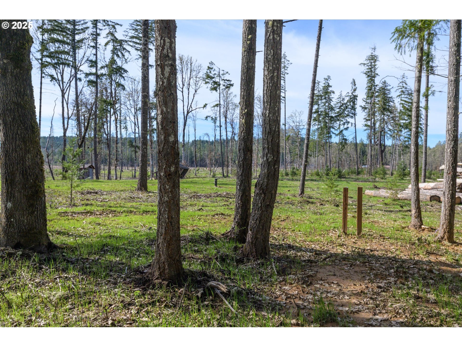 Suttle Road Elmira, OR 97437 - Photo 13 of 15 Gallery Image 13