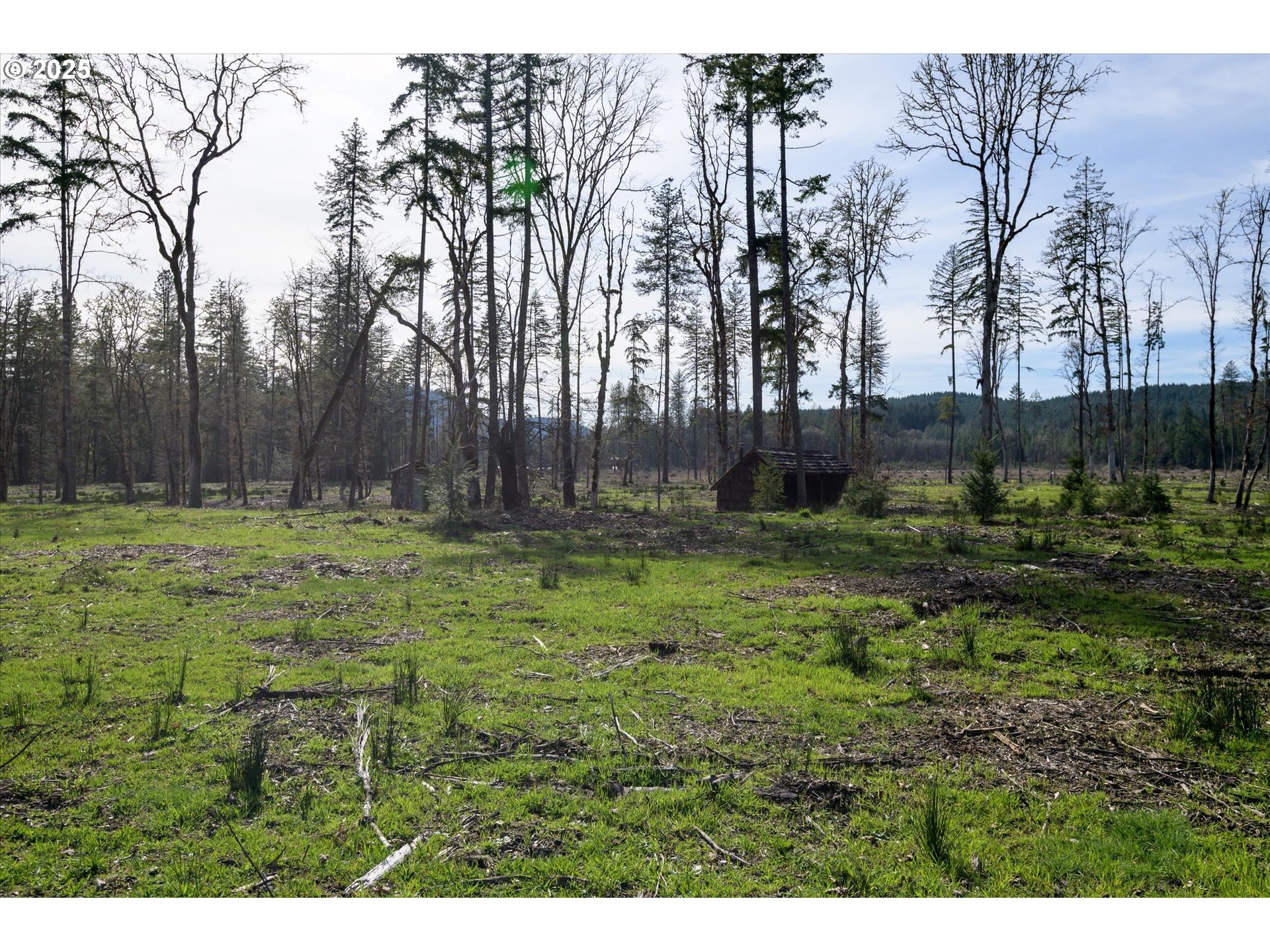 Suttle Road Elmira, OR 97437 - Photo 14 of 15 Gallery Image 14