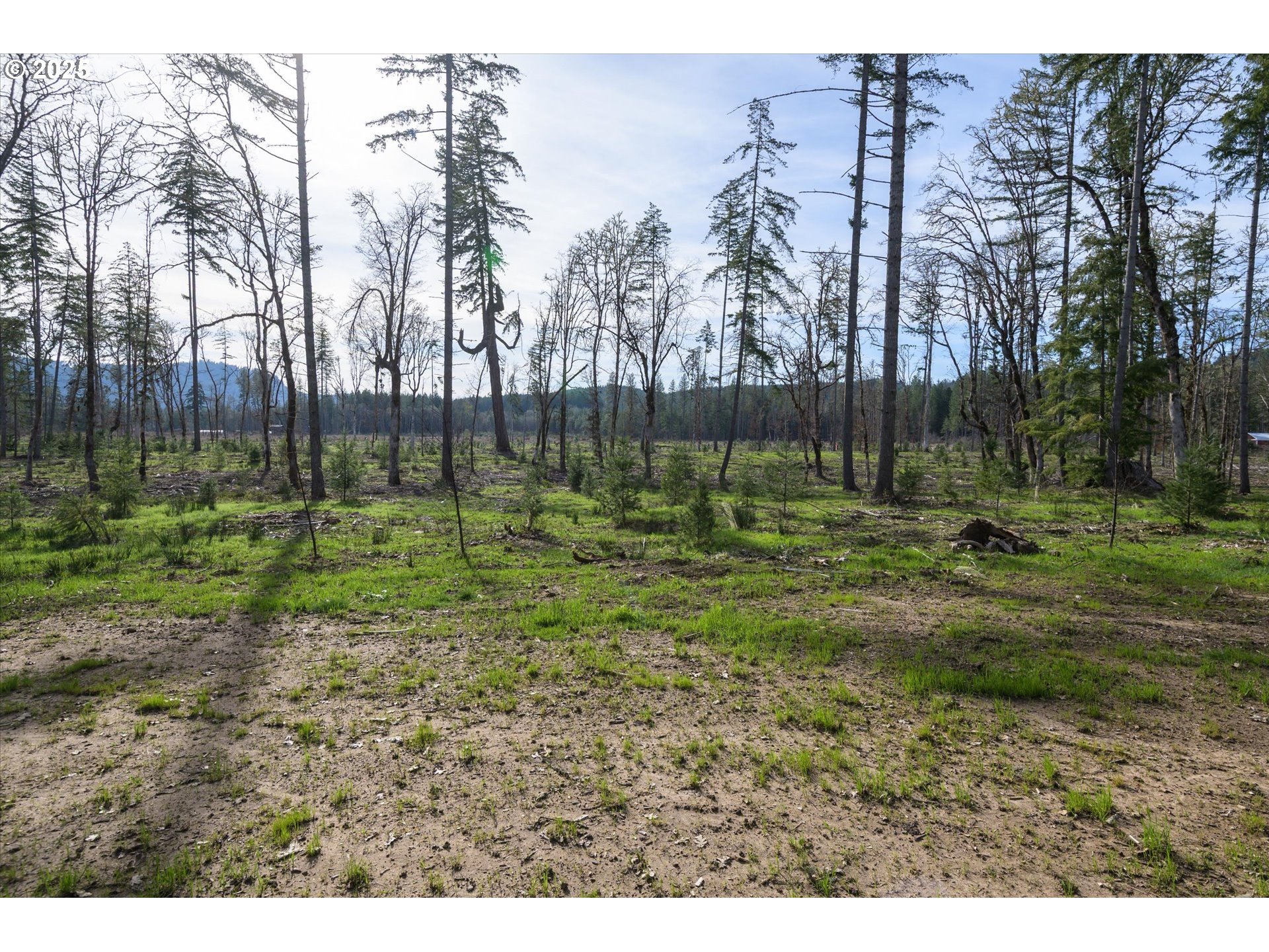 Suttle Road Elmira, OR 97437 - Photo 15 of 15 Gallery Image 15