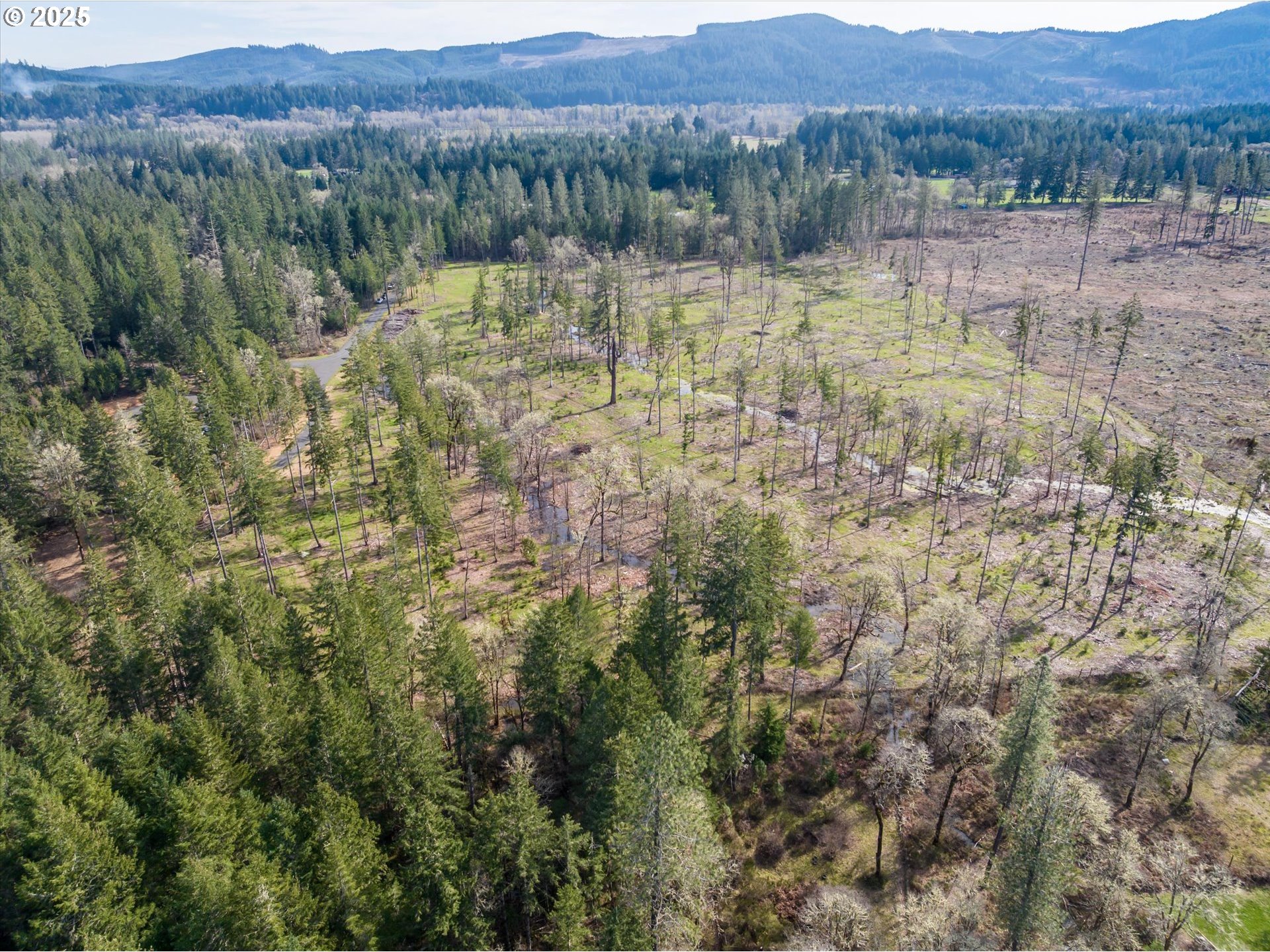 Suttle Road Elmira, OR 97437 - Photo 6 of 15 Gallery Image 6