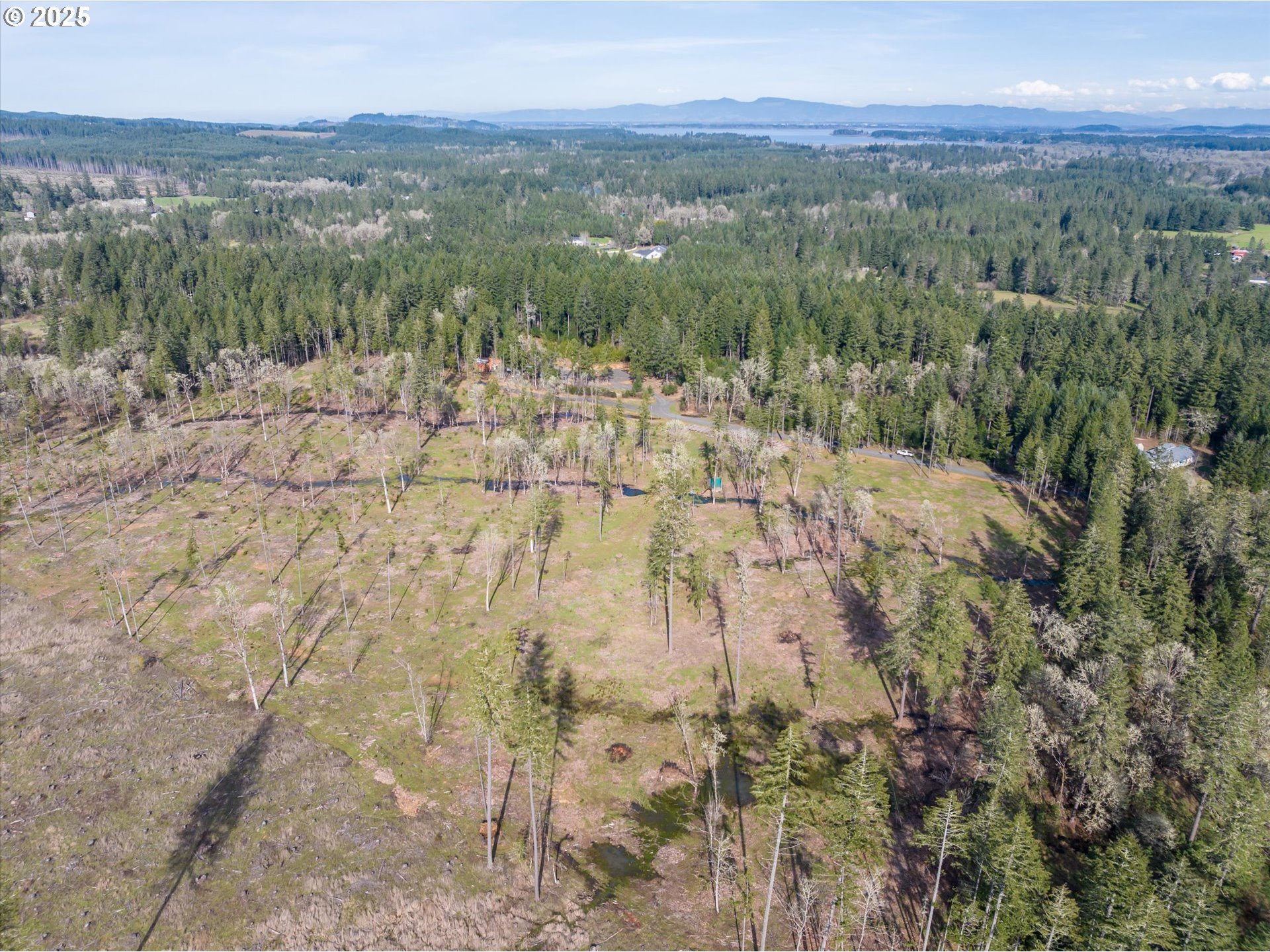 Suttle Road Elmira, OR 97437 - Photo 7 of 15 Gallery Image 7