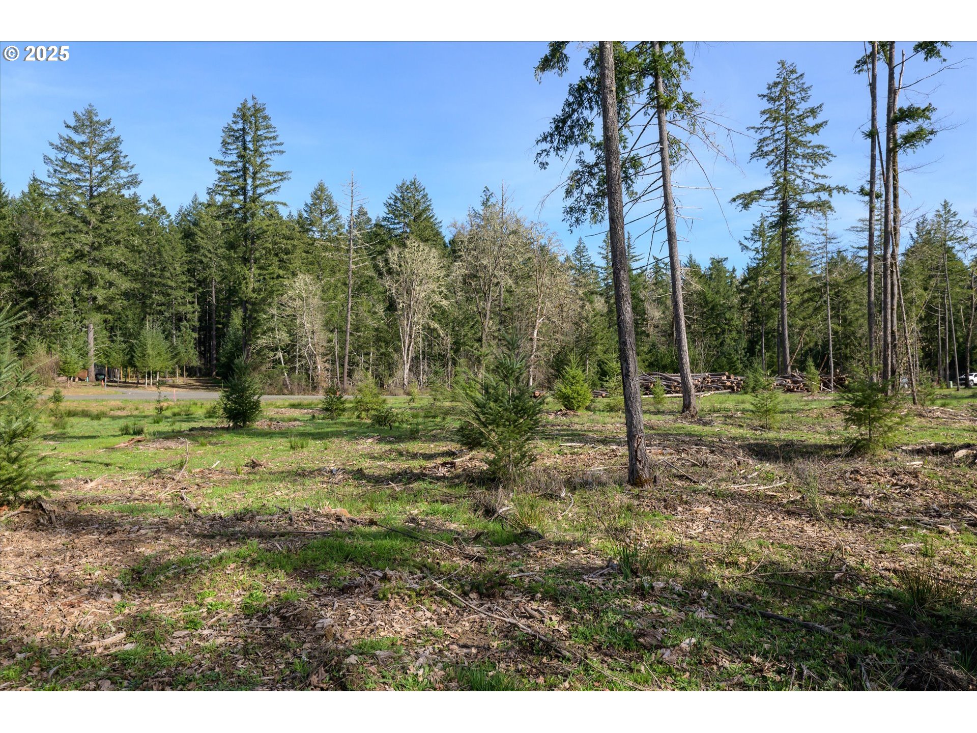Suttle Road Elmira, OR 97437 - Photo 9 of 15 Gallery Image 9