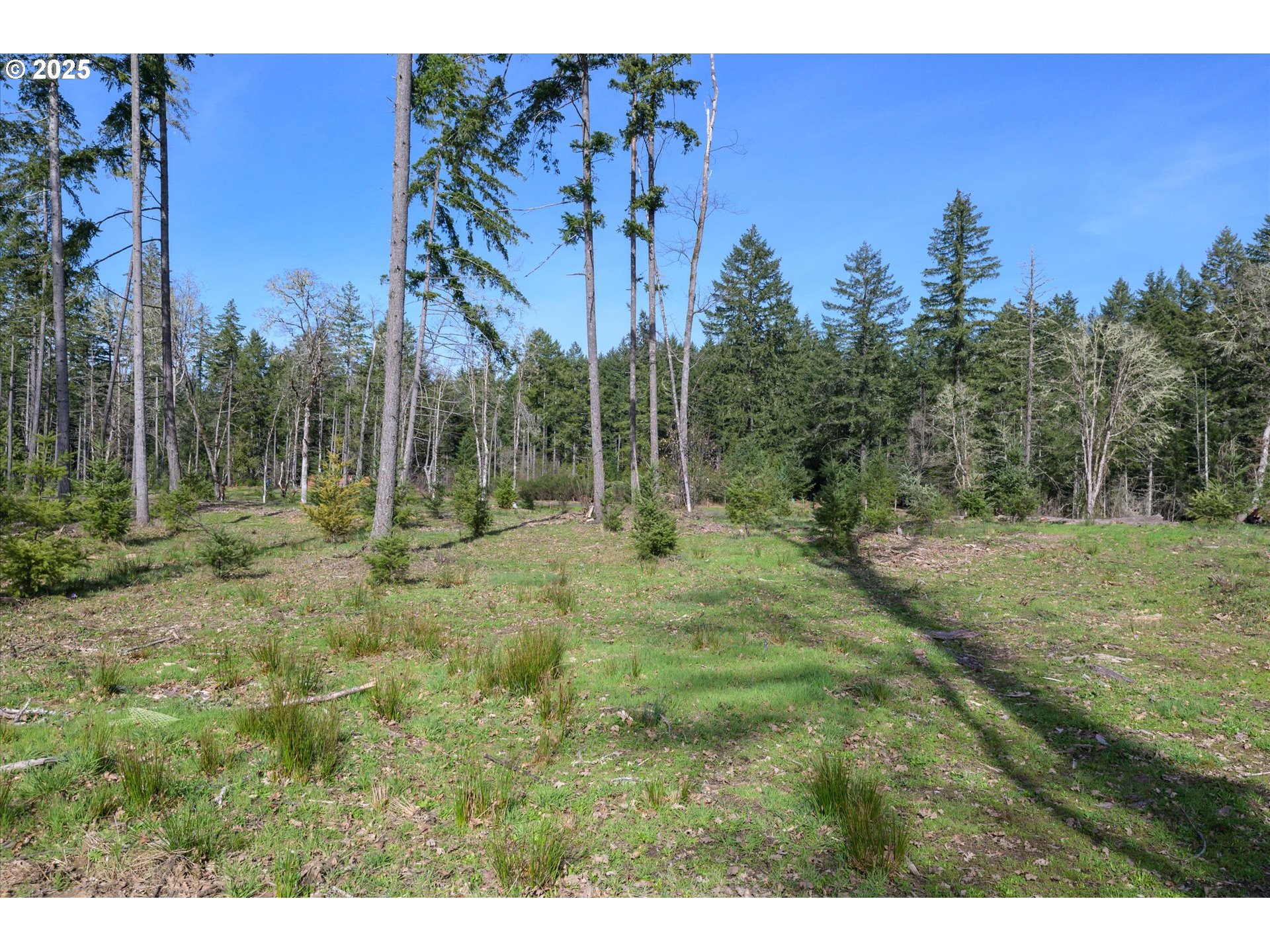 Suttle Road Elmira, OR 97437 - Photo 10 of 15 Gallery Image 10