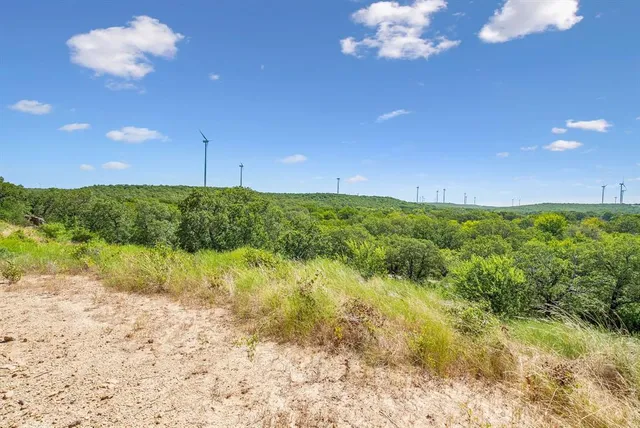 a view of a yard with an outdoor space