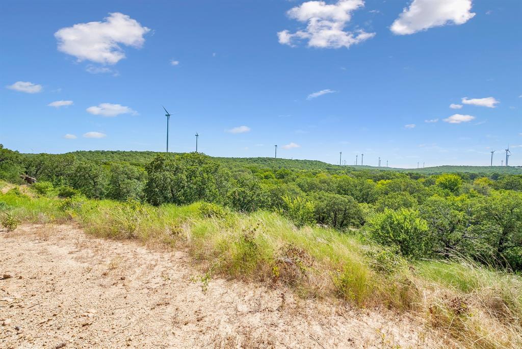 Tbd Tbd Armstrong Lane Jacksboro, TX 76458 - Photo 11 of 40 a view of a yard with an outdoor space