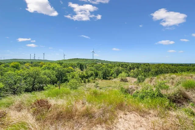 a view of a bunch of trees and bushes
