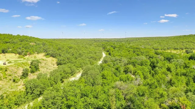 a view of a green field with lots of bushes