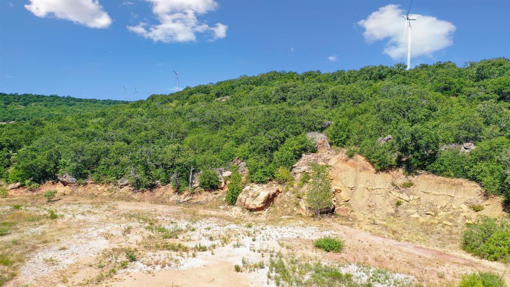 Tbd Tbd Armstrong Lane Jacksboro, TX 76458 - Photo 15 of 40 a view of a yard