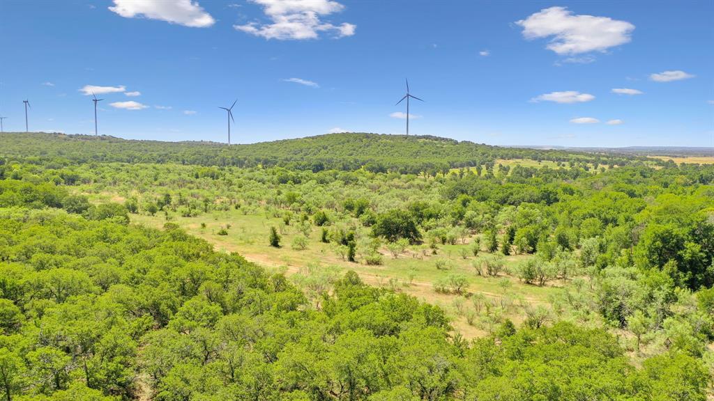 Tbd Tbd Armstrong Lane Jacksboro, TX 76458 - Photo 18 of 40 a view of a big yard