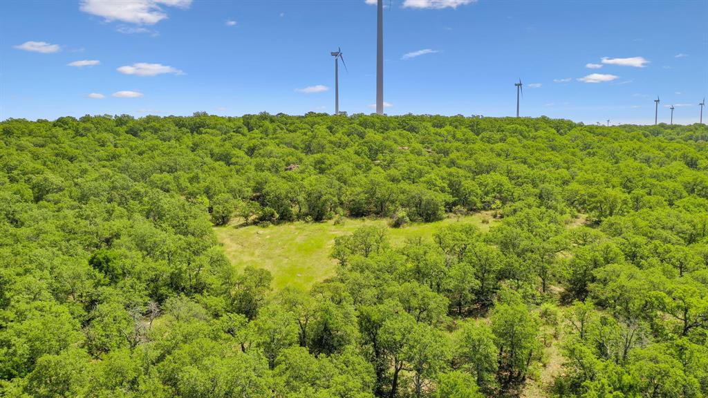 Tbd Tbd Armstrong Lane Jacksboro, TX 76458 - Photo 19 of 40 a view of a yard with an tree