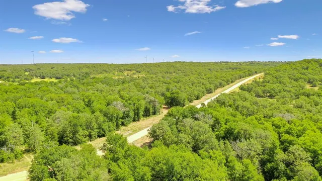 a view of a green field with lots of bushes