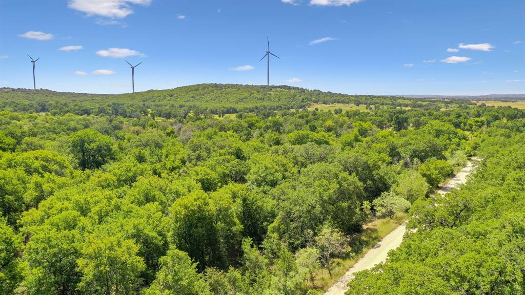 Tbd Tbd Armstrong Lane Jacksboro, TX 76458 - Photo 21 of 40 a big yard with lots of green space