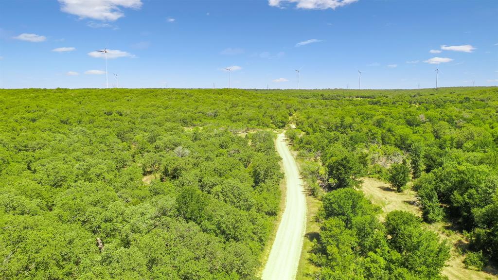 Tbd Tbd Armstrong Lane Jacksboro, TX 76458 - Photo 22 of 40 a view of an outdoor space with a lake view