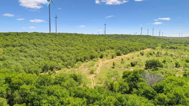 a view of a yard with an outdoor space