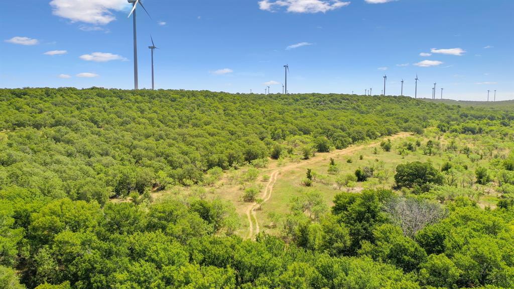 Tbd Tbd Armstrong Lane Jacksboro, TX 76458 - Photo 23 of 40 a view of a yard with an outdoor space