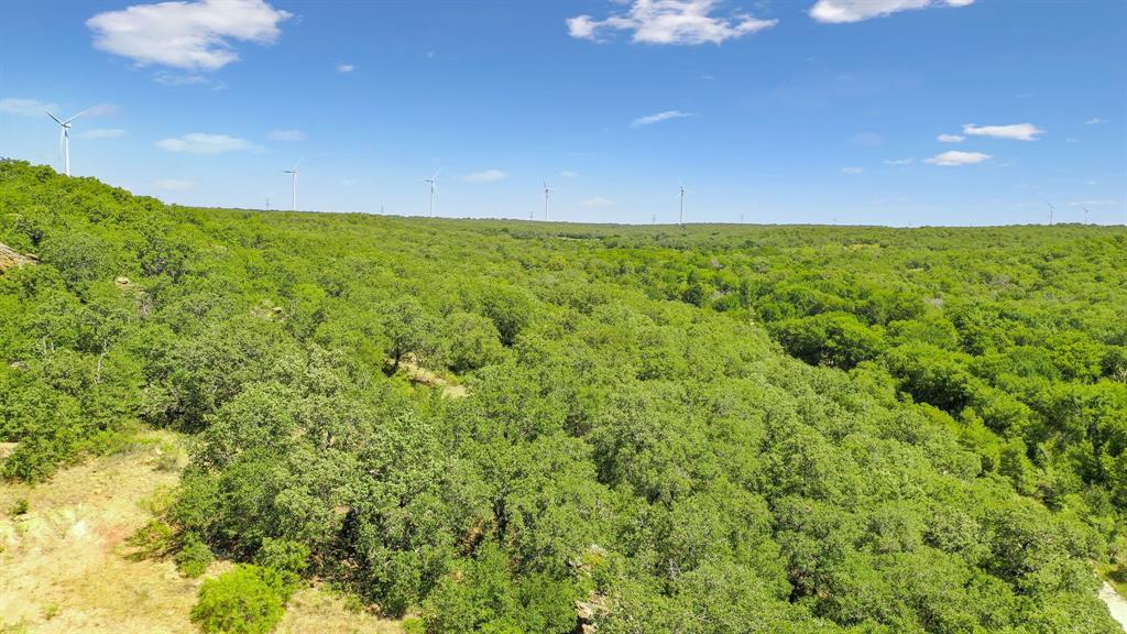 Tbd Tbd Armstrong Lane Jacksboro, TX 76458 - Photo 24 of 40 a view of a big yard