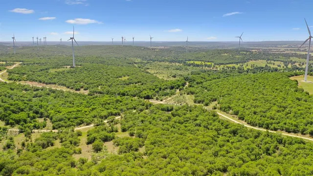 a view of a green yard
