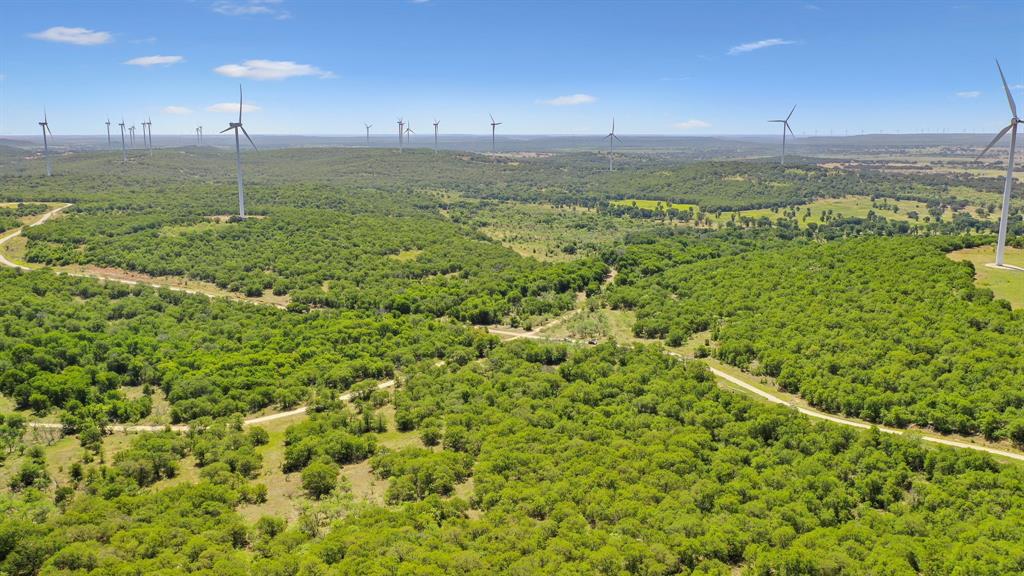 Tbd Tbd Armstrong Lane Jacksboro, TX 76458 - Photo 26 of 40 a view of a green yard