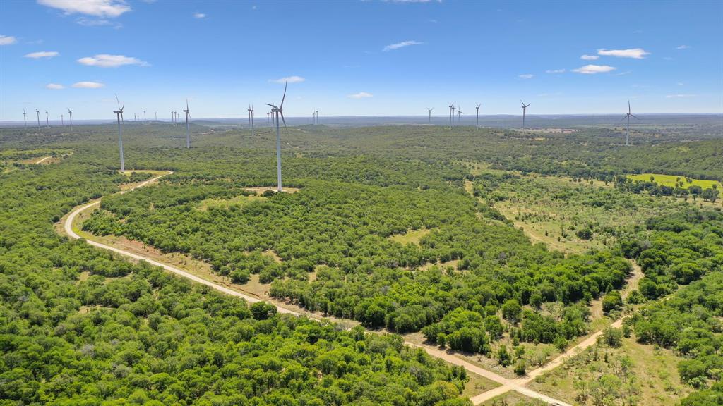 Tbd Tbd Armstrong Lane Jacksboro, TX 76458 - Photo 30 of 40 a view of a green field