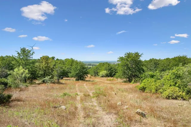 a view of a pathway with a tree in the background