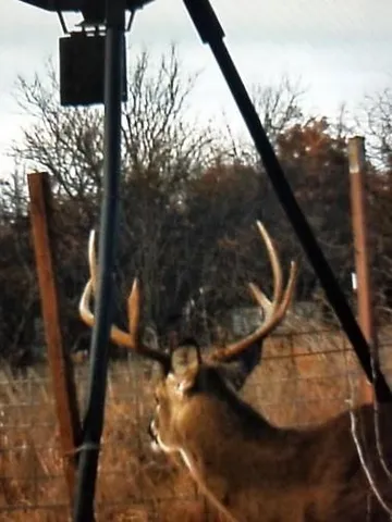 a view of swimming pool from a balcony