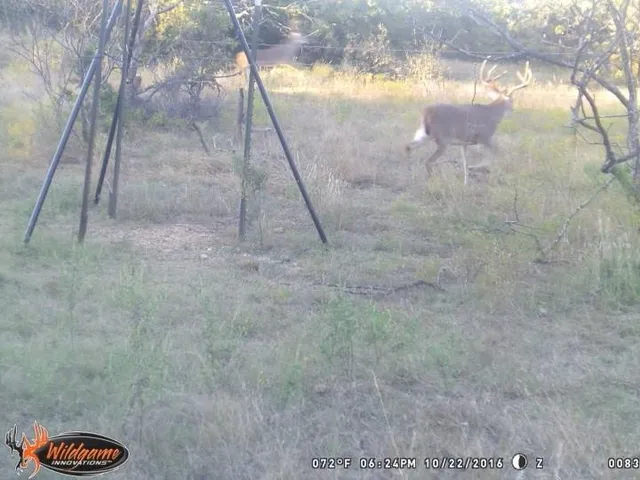 a view of an outdoor space