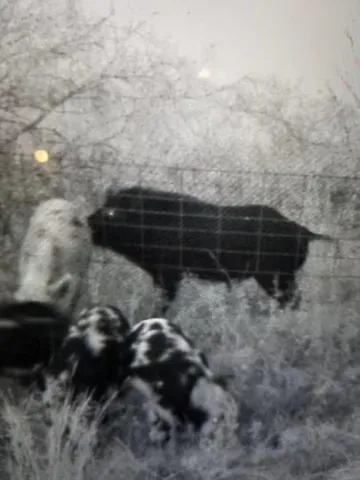 a view of outdoor space