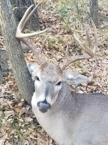 a view of painting on the wall