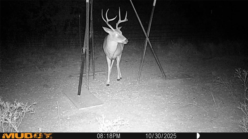 Tbd Tbd Armstrong Lane Jacksboro, TX 76458 - Photo 38 of 40 a picture of a room