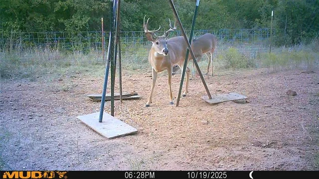 a view of a lake view