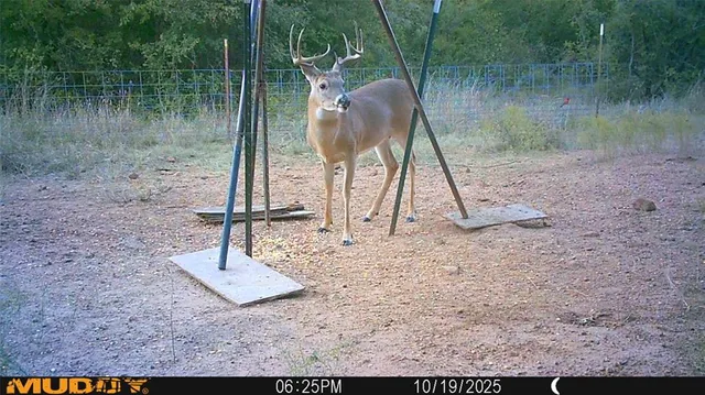 a view of a lake view