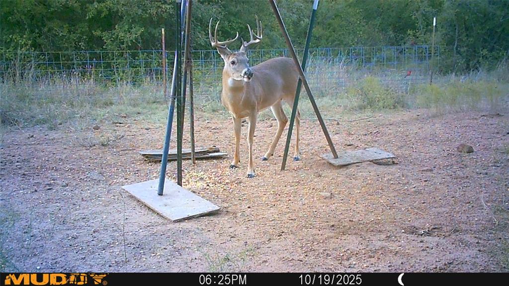 Tbd Tbd Armstrong Lane Jacksboro, TX 76458 - Photo 40 of 40 a view of a lake view